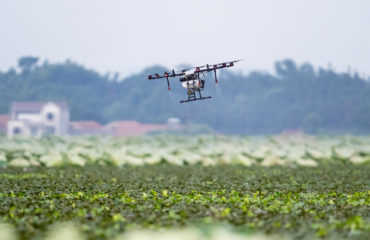 Dron sobre campos de cultivo
