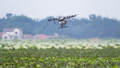 Dron sobre campos de cultivo