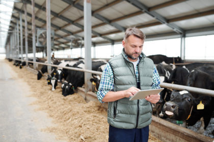 Ganadero consultando su tablet en la granja
